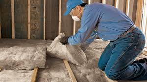 Best Attic Insulation Installation  in Lynn, IN