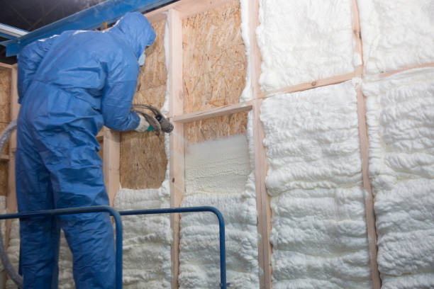 Best Crawl Space Insulation  in Lynn, IN